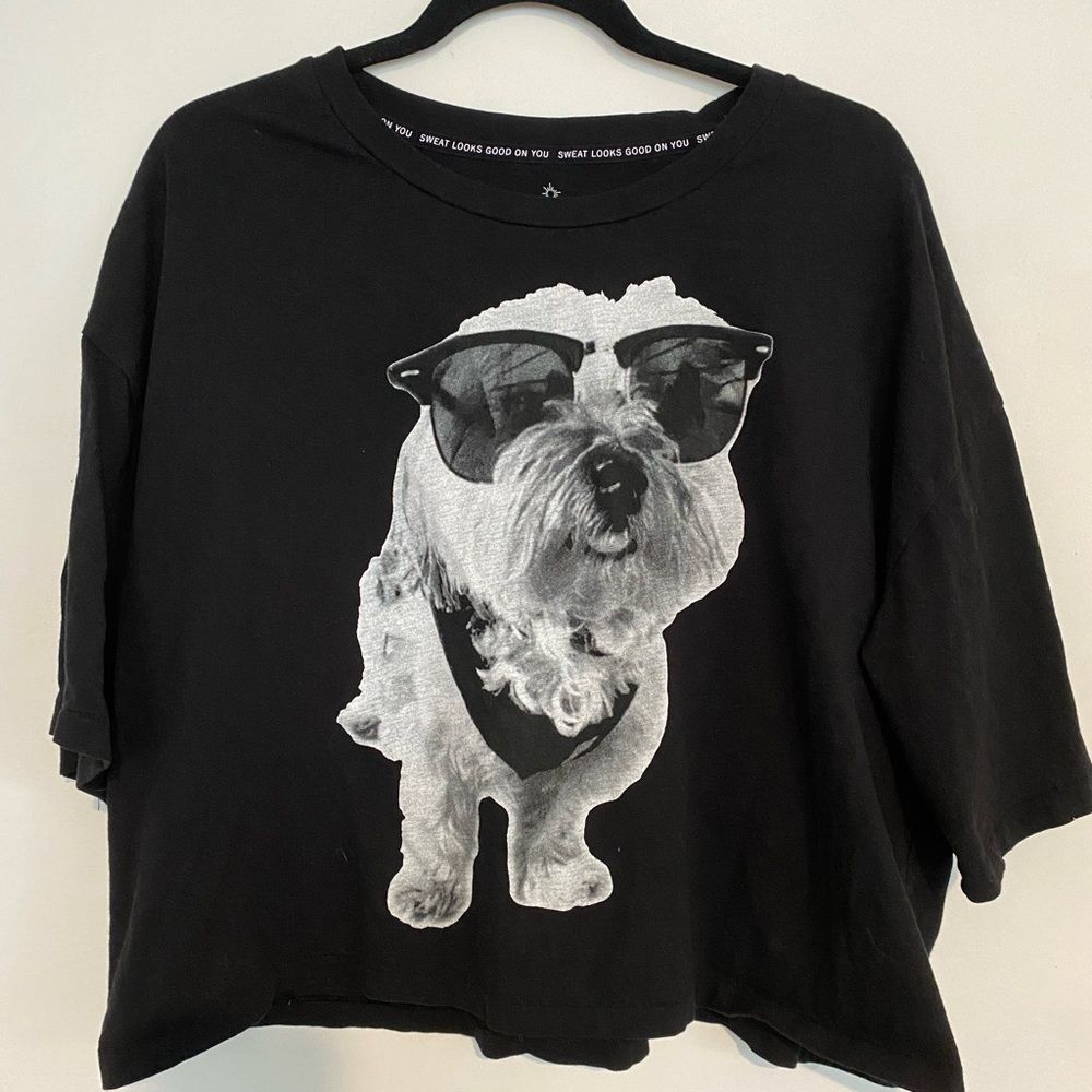 Aerie Cropped Graphic Tee
